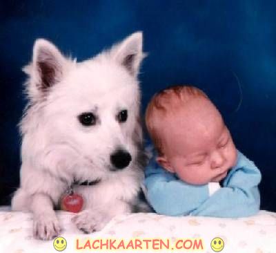 Lieve hond en baby